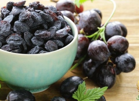 مویز انگور فخری با کیفیت برتر و طعم غنی انتخاب ایده آل